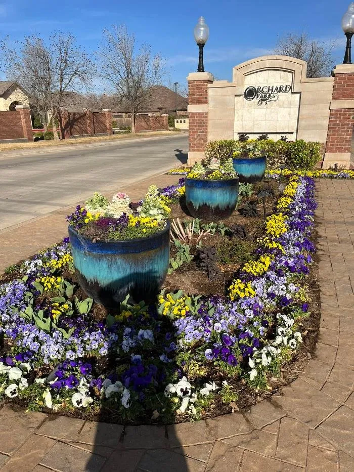 Trusted lawn care service in Lubbock, TX by Matthew's Plants & Landscapes