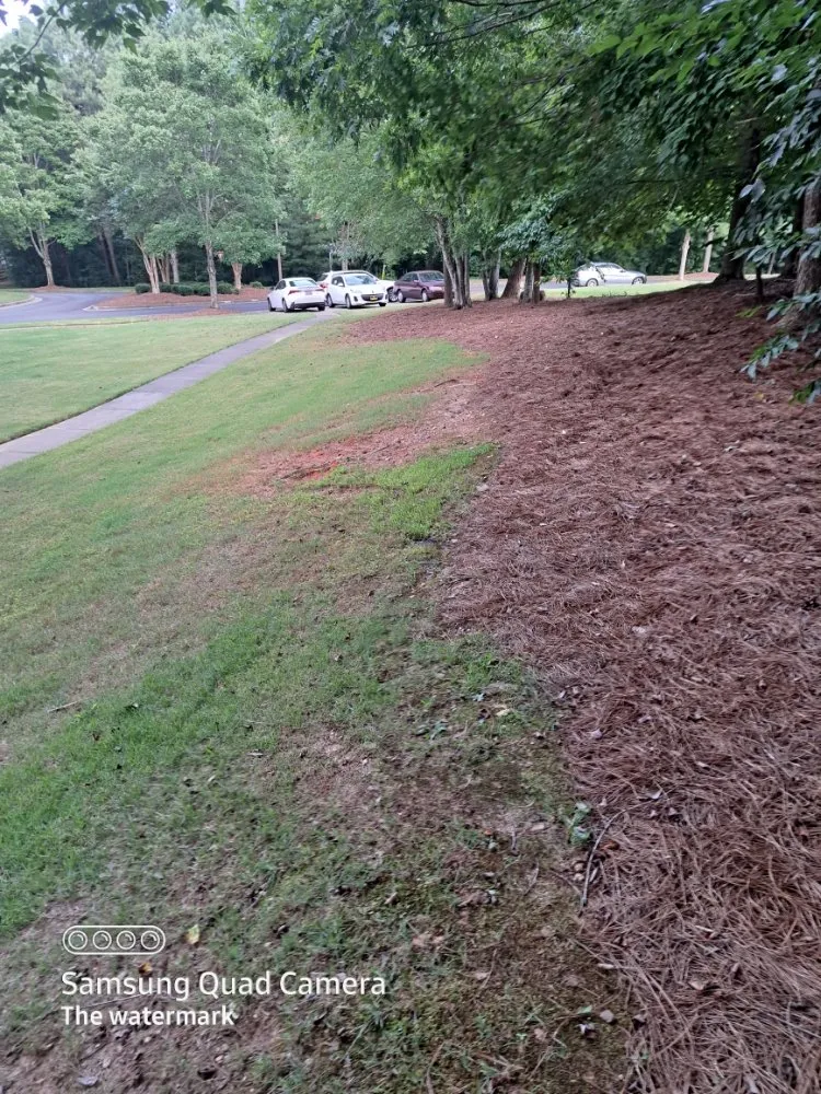 Expert lawn care service for homes in Acworth, GA by Matthews Retaining Walls
