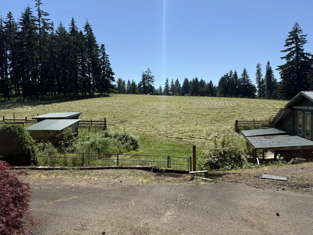 Top-rated residential landscaping in Damascus, OR by Matthews Tractor Work