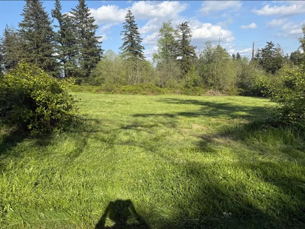 Top-rated yard cleanup service in Damascus, OR by Matthews Tractor Work