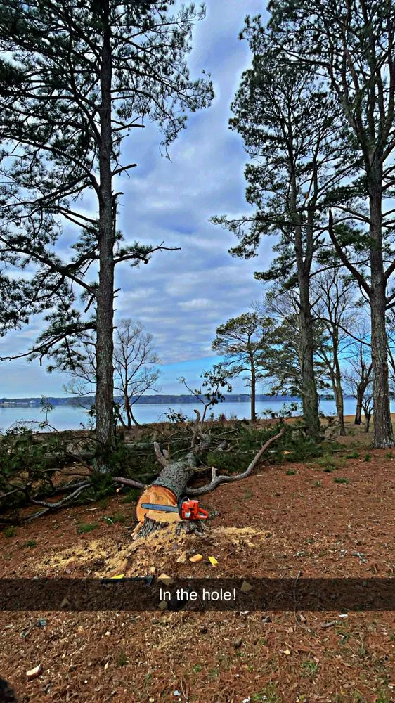 Professional residential landscaping for year-round maintenance in Hollywood, AL by Matthews Tree And Landscape