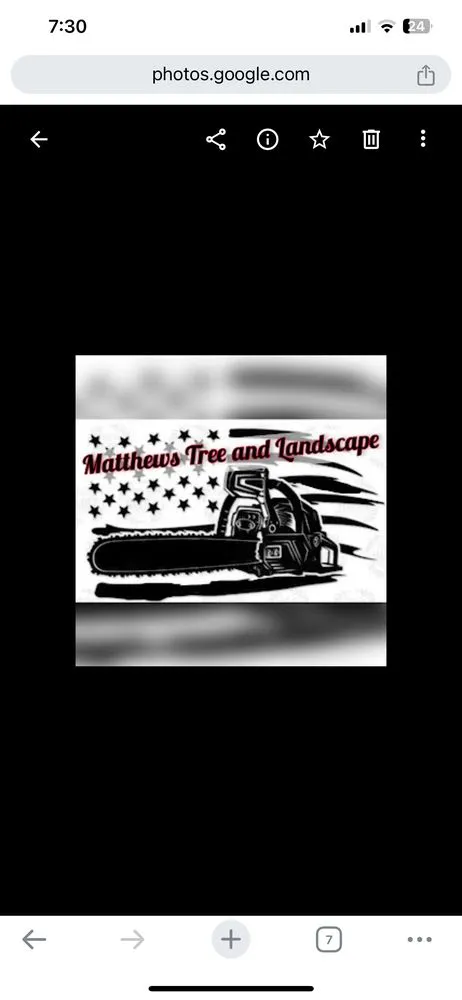 Top-rated landscaping services in Hollywood, AL by Matthews Tree And Landscape