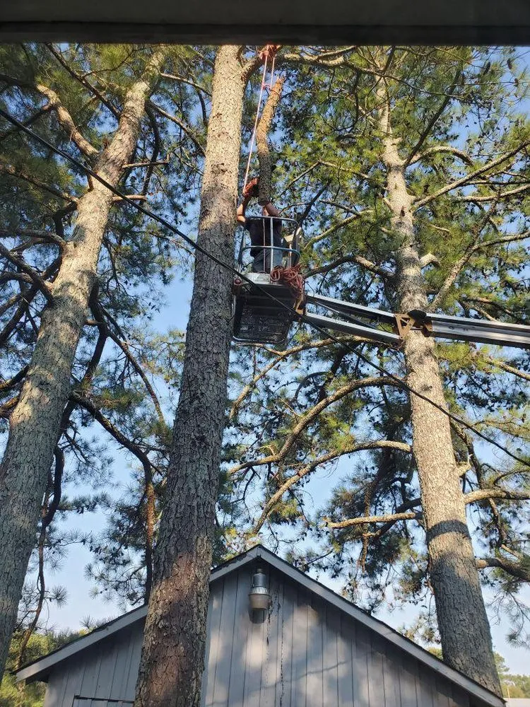 Custom landscape design in Hollywood, AL - Matthews Tree And Landscape