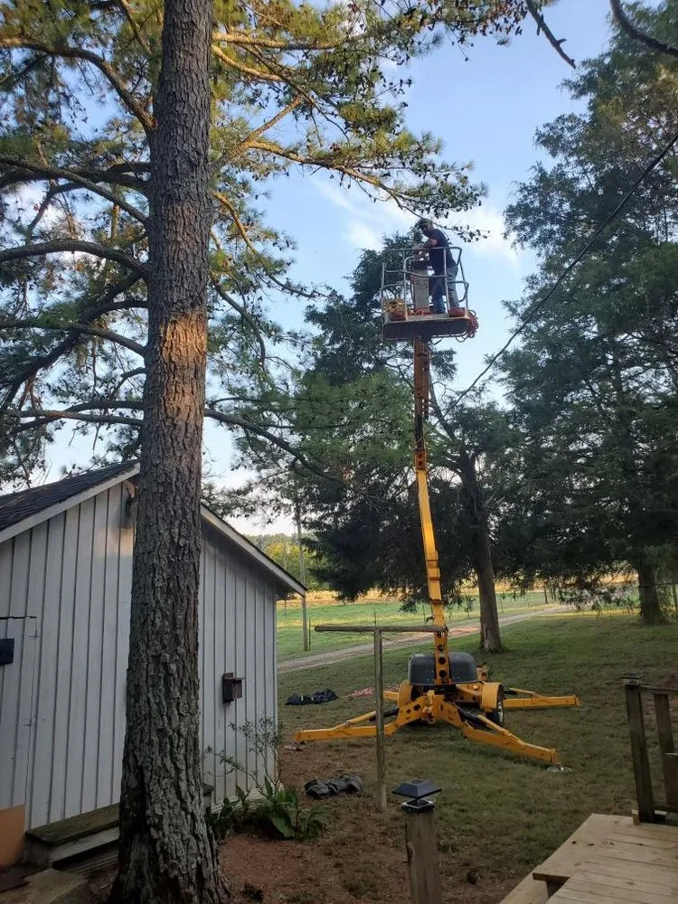 Trusted residential landscaping for homes in Hollywood, AL by Matthews Tree And Landscape