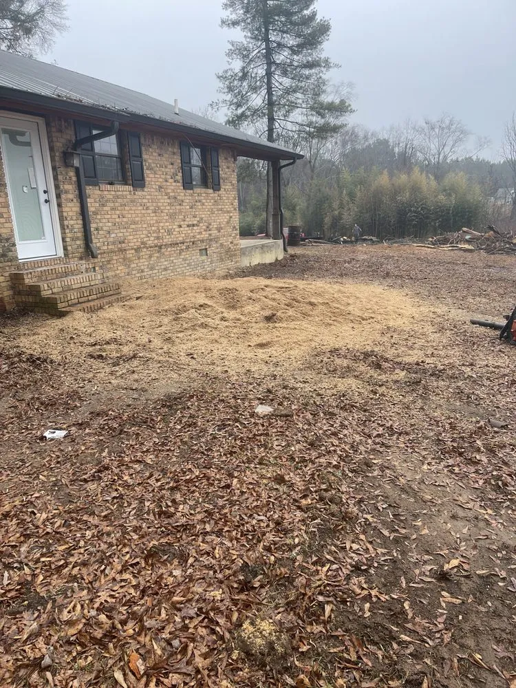 Expert residential landscaping in Hollywood, AL by Matthews Tree And Landscape