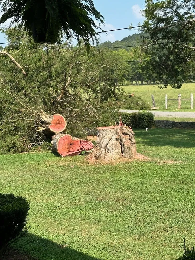 Professional residential landscaping experts serving Hollywood, AL - Matthews Tree And Landscape
