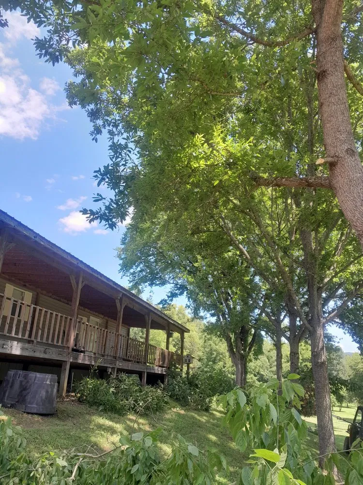 Affordable garden landscaping with custom design in Hollywood, AL by Matthews Tree And Landscape
