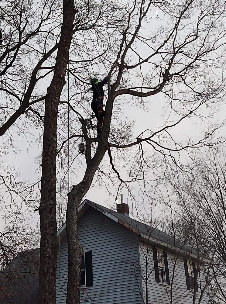 Trusted garden landscaping experts serving Saint Francis, MN - Matthew's Tree and Landscape