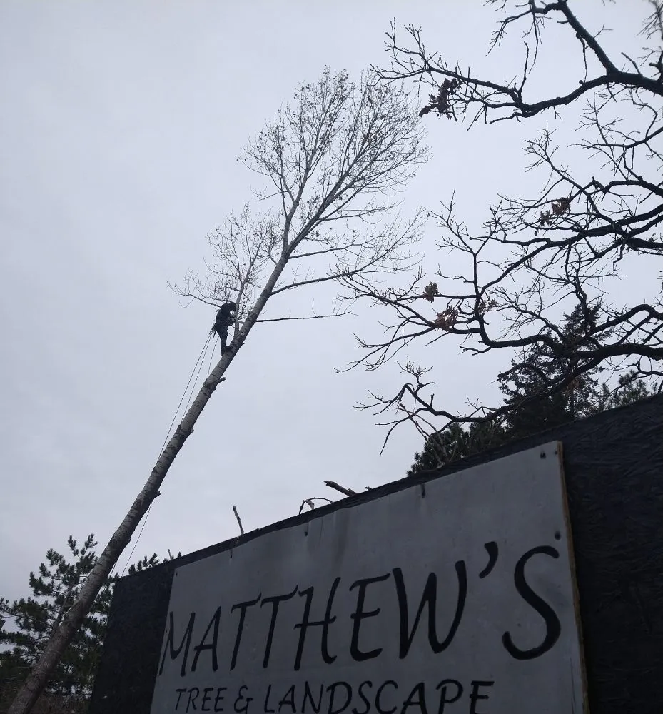 Expert residential landscaping in Saint Francis, MN - Matthew's Tree and Landscape