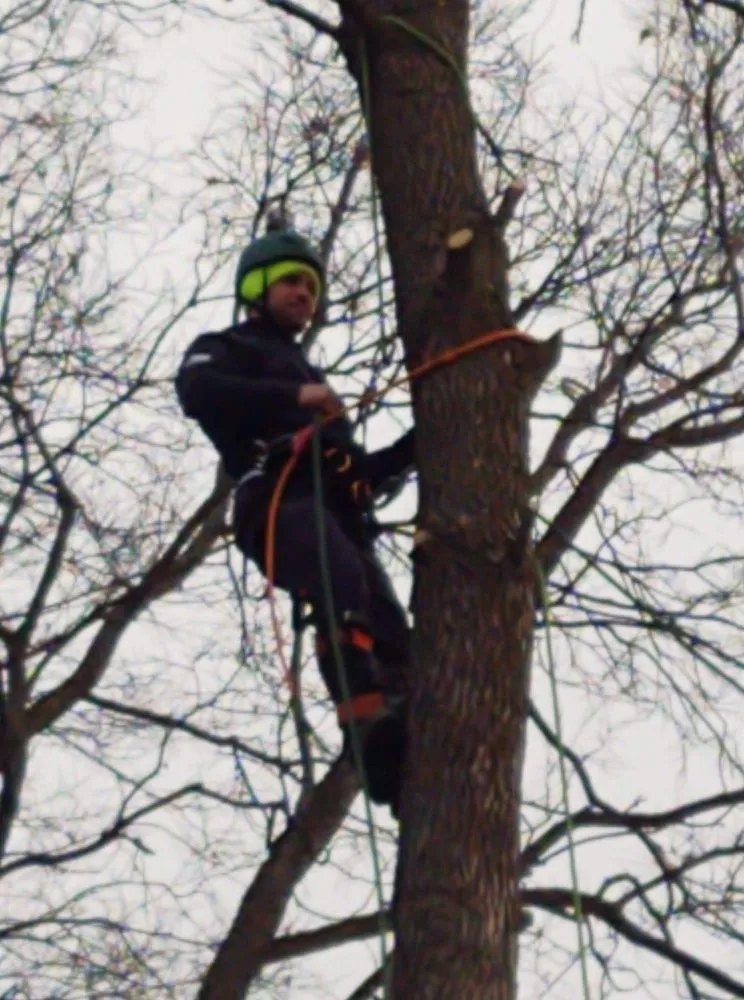 Professional yard maintenance for beautiful yards in Saint Francis, MN by Matthew's Tree and Landscape