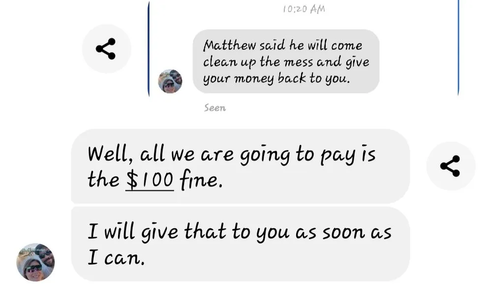 Professional yard cleanup service experts serving Saint Francis, MN - Matthew's Tree and Landscape