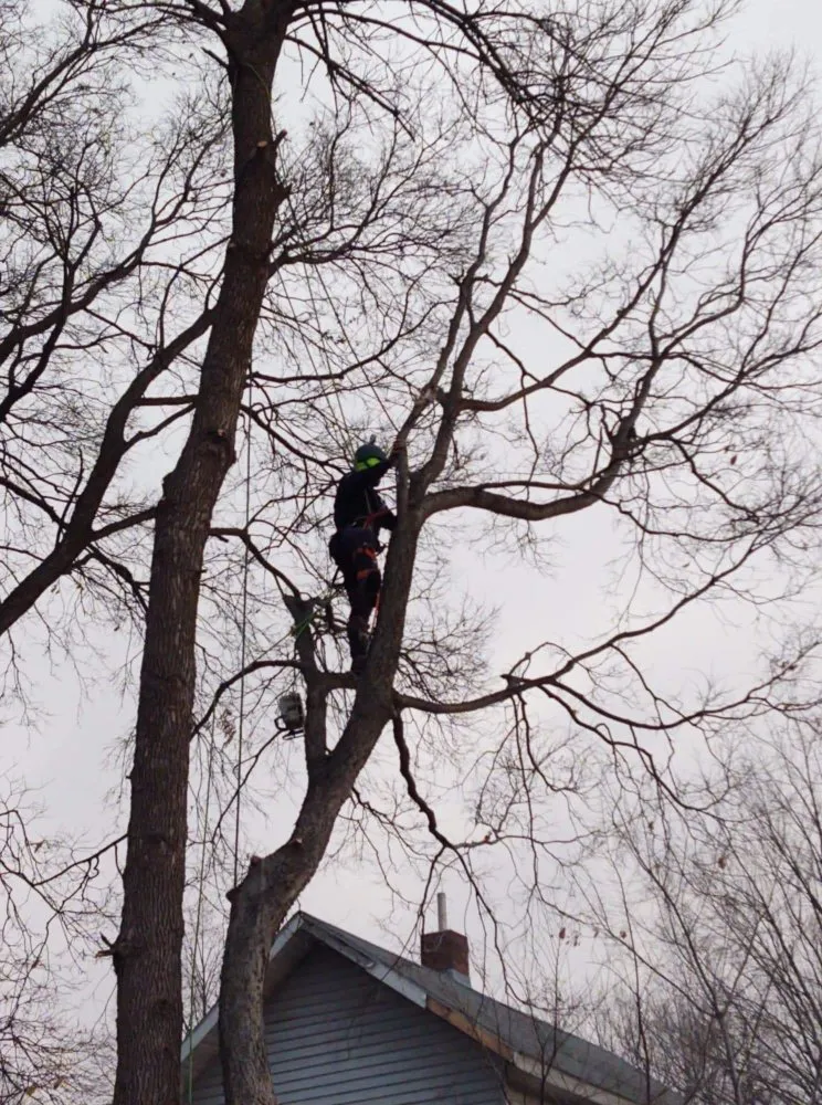 Professional landscape installation with custom design in Saint Francis, MN by Matthew's Tree and Landscape