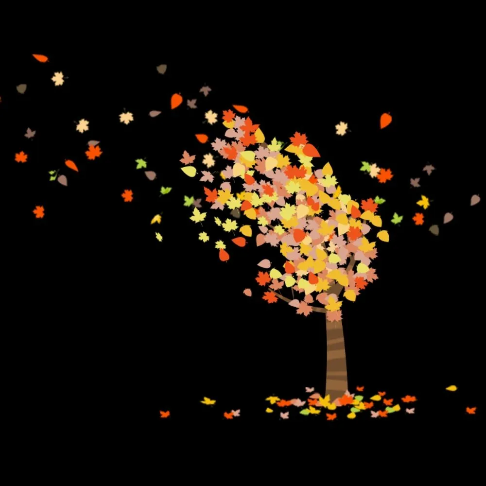 Trusted yard cleanup service in Saint Francis, MN - Matthew's Tree and Landscape