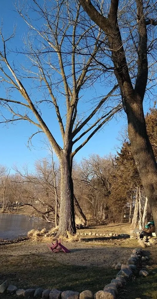 Trusted landscape installation experts serving Saint Francis, MN - Matthew's Tree and Landscape