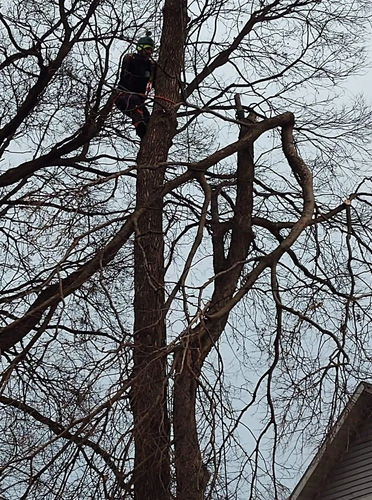 Expert outdoor landscaping in Saint Francis, MN - Matthew's Tree and Landscape