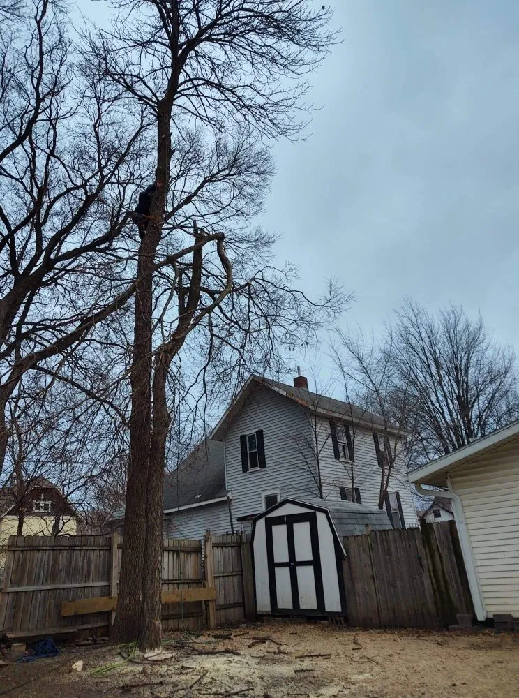 Professional lawn care service in Saint Francis, MN - Matthew's Tree and Landscape