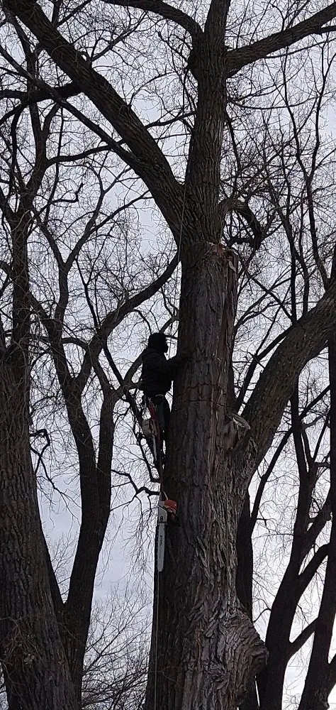 Reliable outdoor landscaping in Saint Francis, MN by Matthew's Tree and Landscape