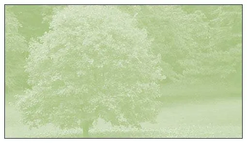 Top-rated lawn mowing service experts serving Chichester, NH - Mattice Collins Property Services