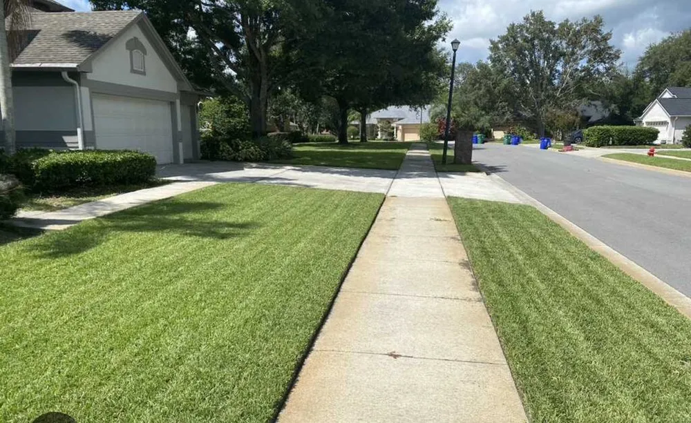 Custom landscaping services in Colonial Heights, VA by Matt&Jakob Lawn Services