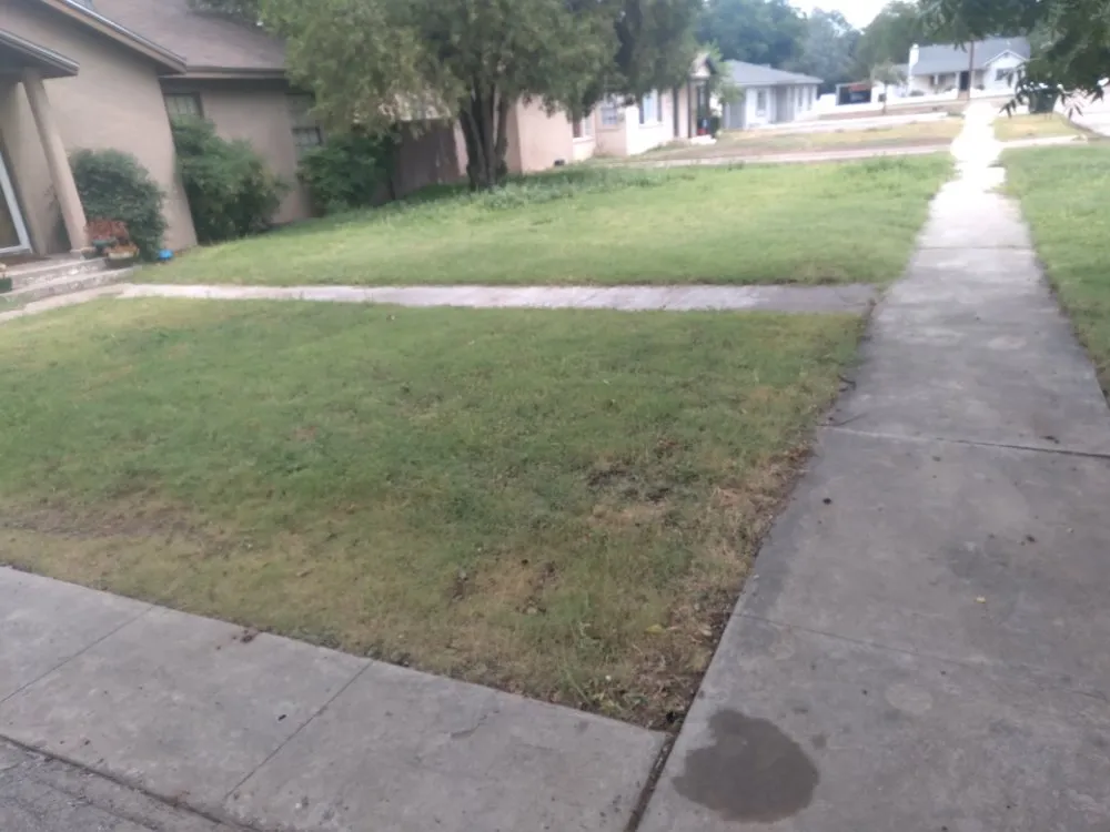 Local landscape design in Carlsbad, NM - Matts Automotive and Landscaping