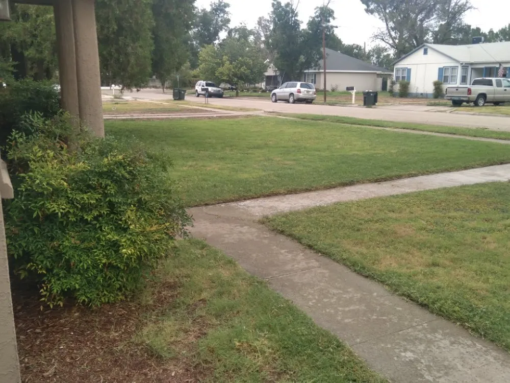 Expert yard maintenance for residential properties across Carlsbad, NM - Matts Automotive and Landscaping