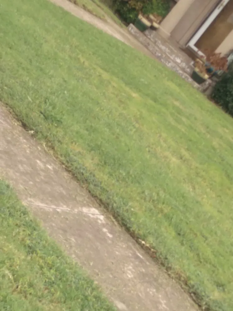 Custom residential landscaping experts serving Carlsbad, NM - Matts Automotive and Landscaping