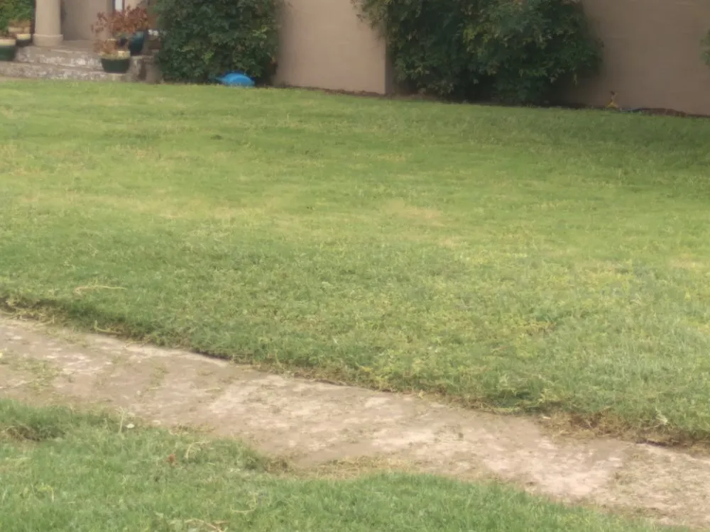 Local lawn care service experts serving Carlsbad, NM - Matts Automotive and Landscaping