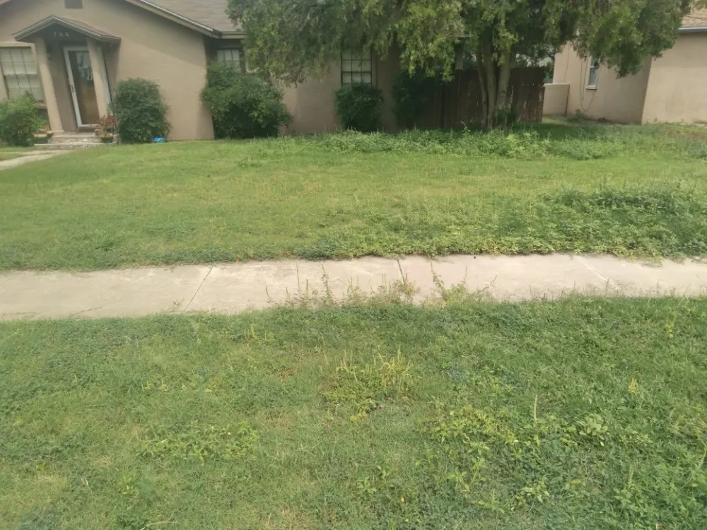 Professional yard cleanup service for year-round maintenance in Carlsbad, NM by Matts Automotive and Landscaping