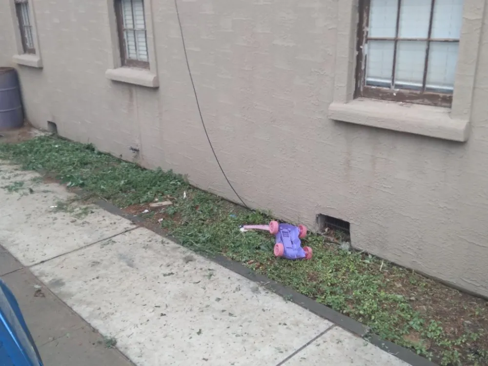 Affordable lawn mowing service experts serving Carlsbad, NM - Matts Automotive and Landscaping