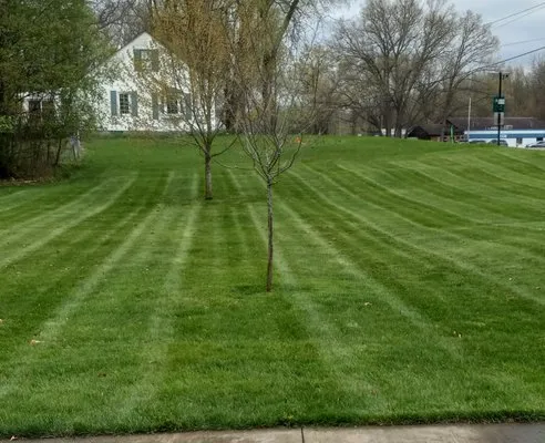 Matt's Cutting Edge Lawn & Property Care