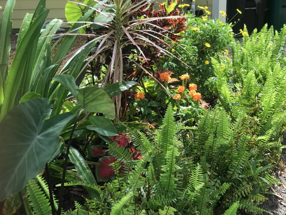 Trusted landscape design for outdoor upgrades in Mount Dora, FL by Matt's Green Thumb