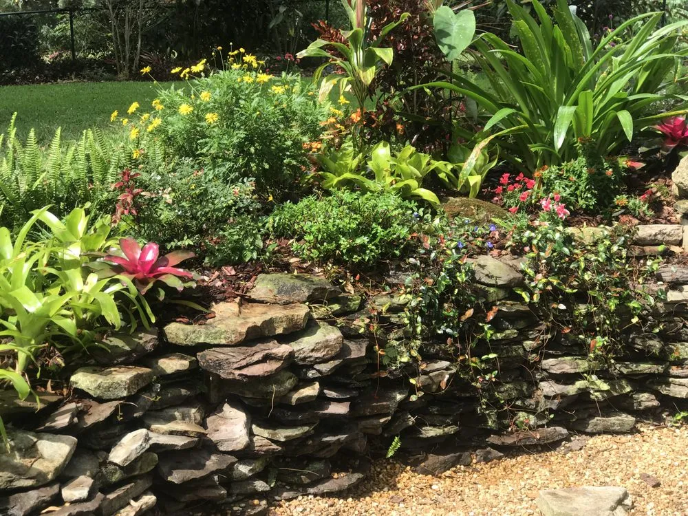 Top-rated yard maintenance in Mount Dora, FL - Matt's Green Thumb