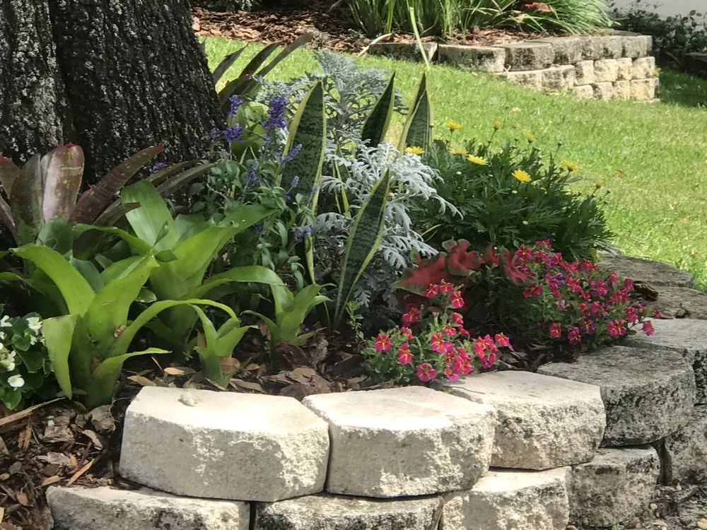 Professional landscaping services in Mount Dora, FL - Matt's Green Thumb