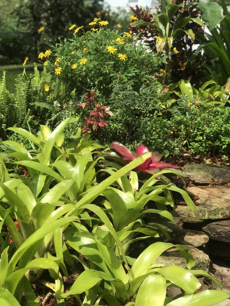 Affordable yard maintenance in Mount Dora, FL - Matt's Green Thumb