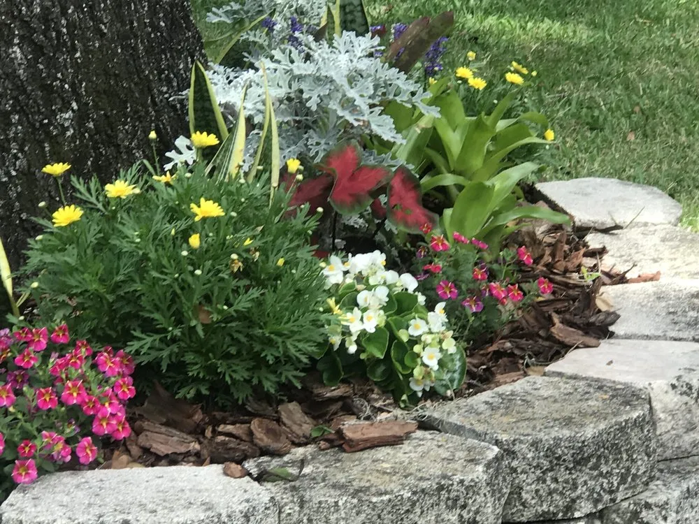 Reliable outdoor landscaping experts serving Mount Dora, FL - Matt's Green Thumb