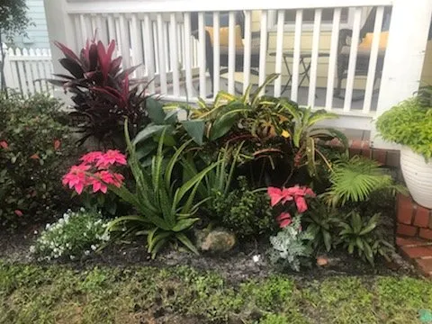 Professional landscape installation for outdoor upgrades across Mount Dora, FL - Matt's Green Thumb