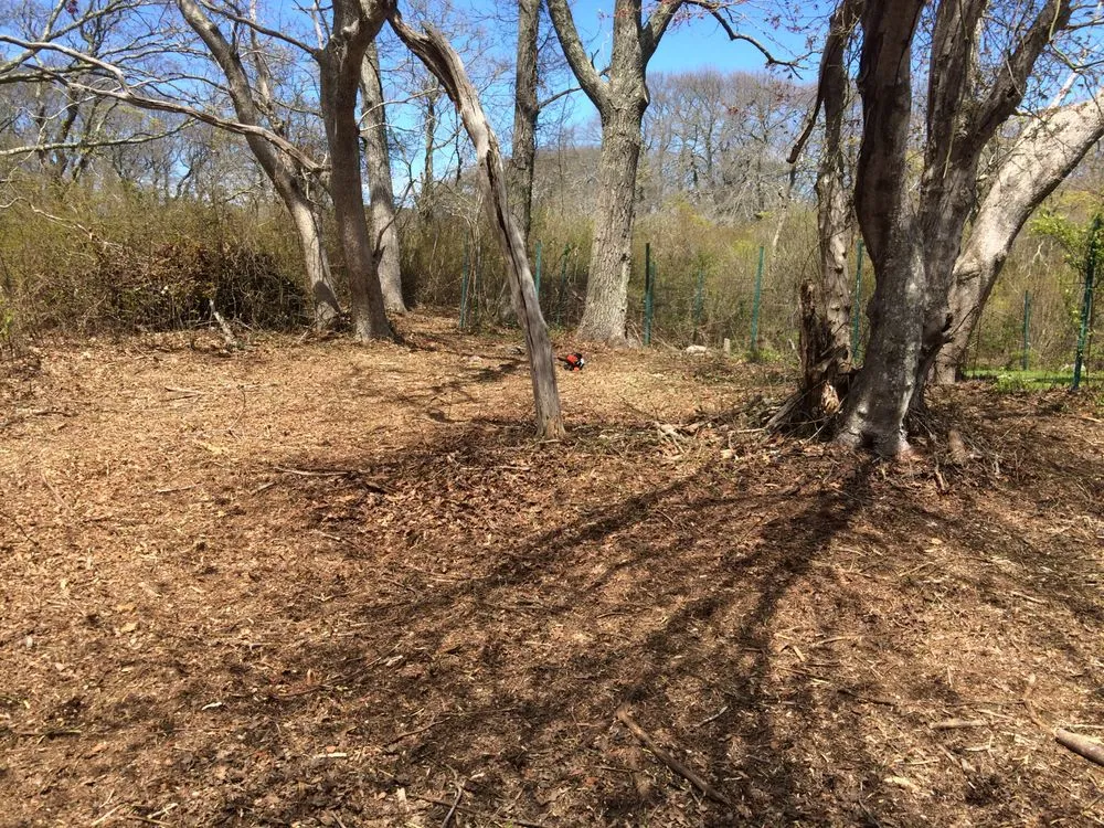 Top-rated landscaping services for homes across Edgartown, MA - Matt's GreenThumb Landscaping