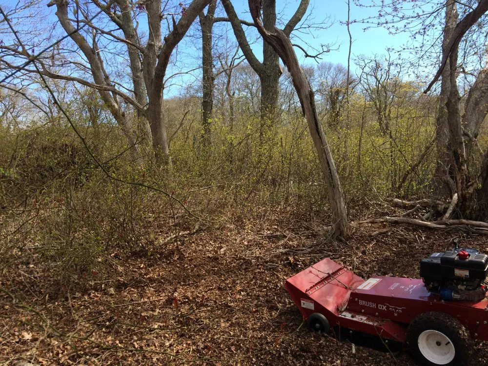 Affordable garden landscaping for beautiful yards across Edgartown, MA - Matt's GreenThumb Landscaping
