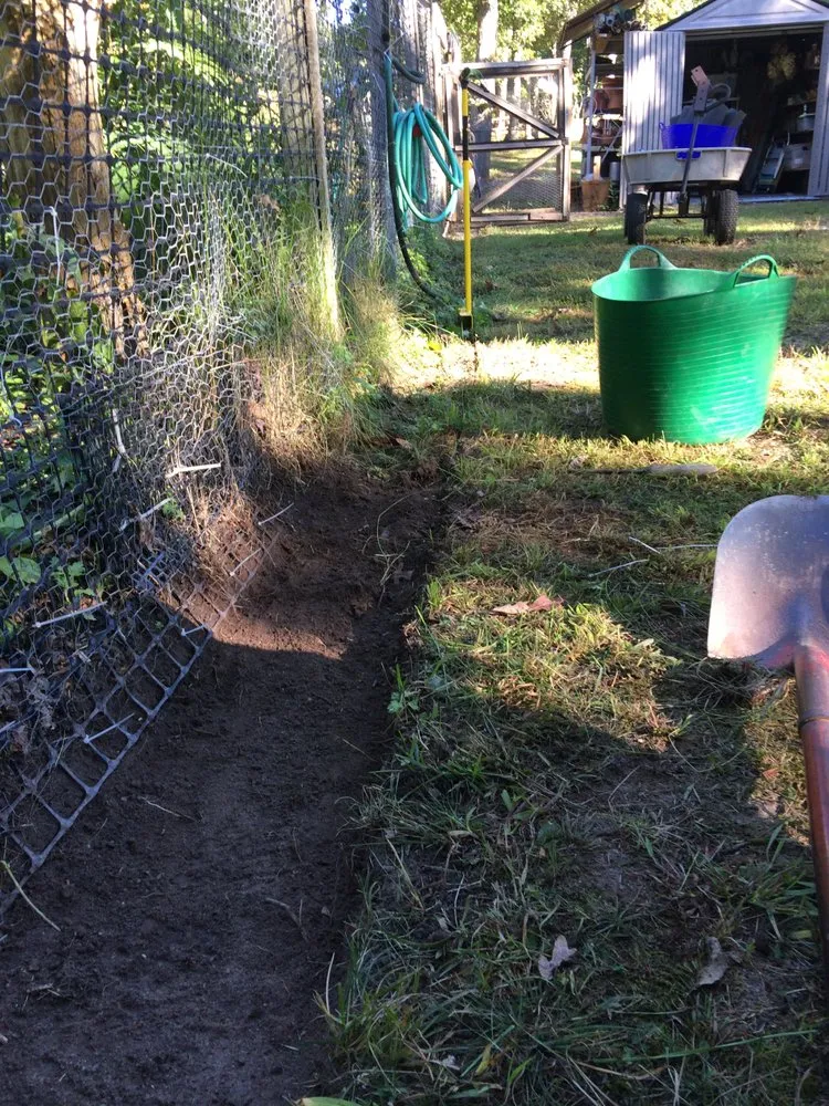Expert lawn mowing service near you in Edgartown, MA by Matt's GreenThumb Landscaping