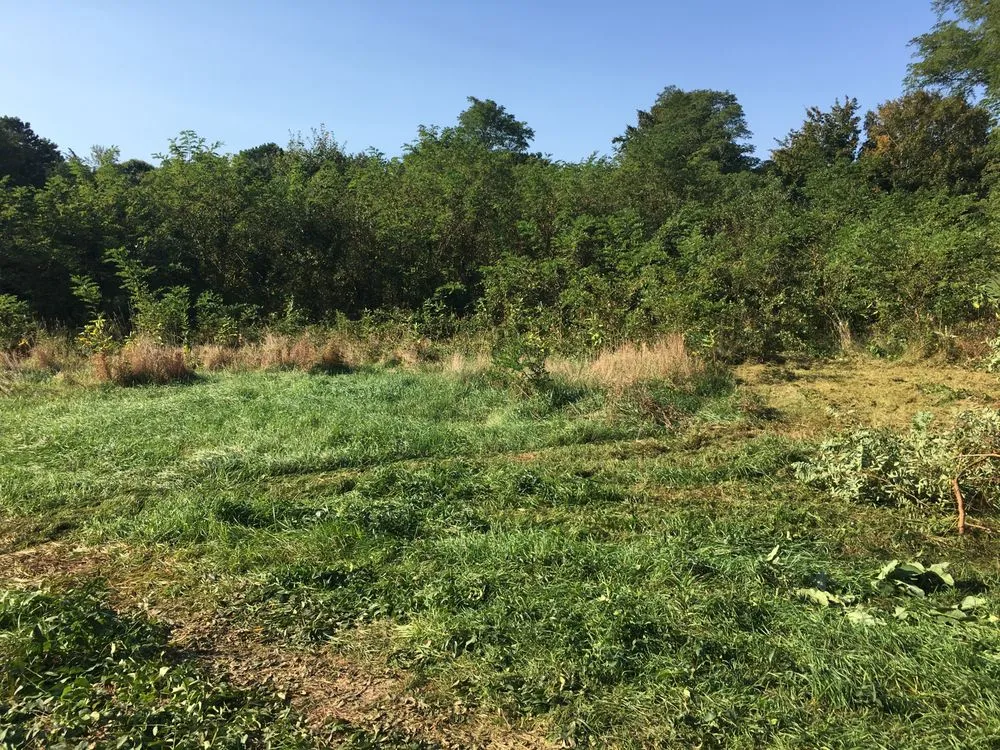 Trusted lawn mowing service in Edgartown, MA by Matt's GreenThumb Landscaping