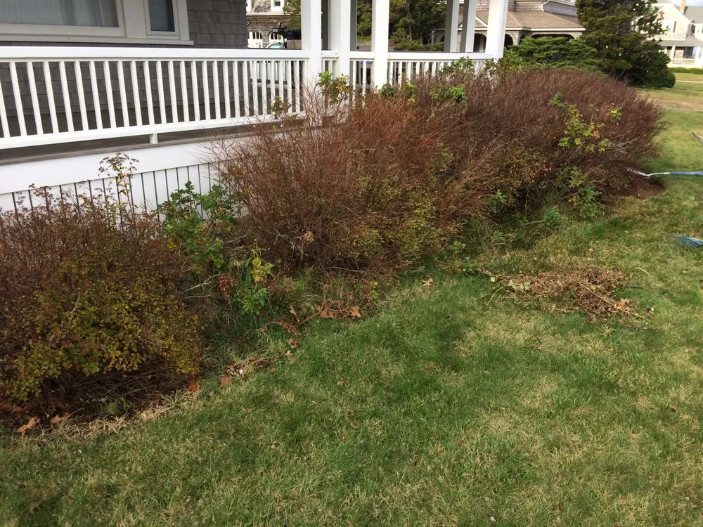 Local landscape design in Edgartown, MA - Matt's GreenThumb Landscaping