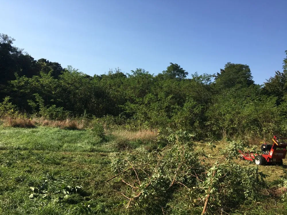 Custom landscaping services with custom design across Edgartown, MA - Matt's GreenThumb Landscaping