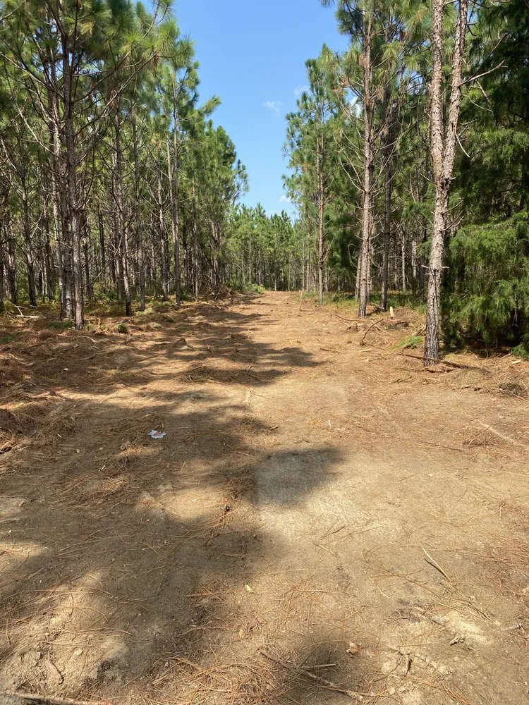 Expert yard maintenance in Samson, AL - Matts Home & Land Services