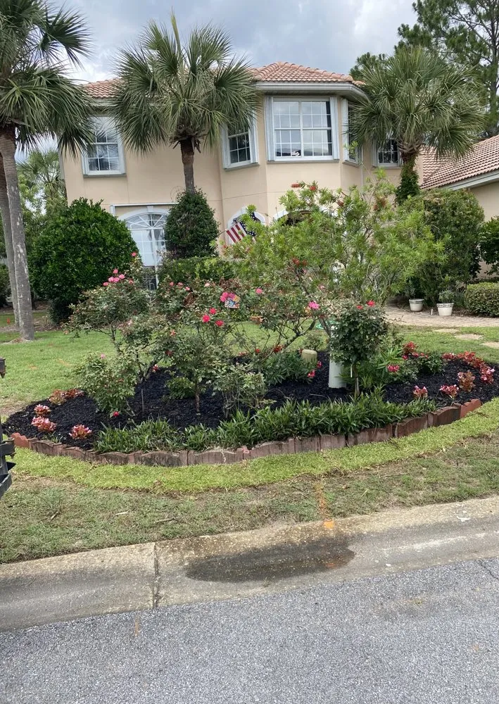 Reliable yard cleanup service experts serving Samson, AL - Matts Home & Land Services