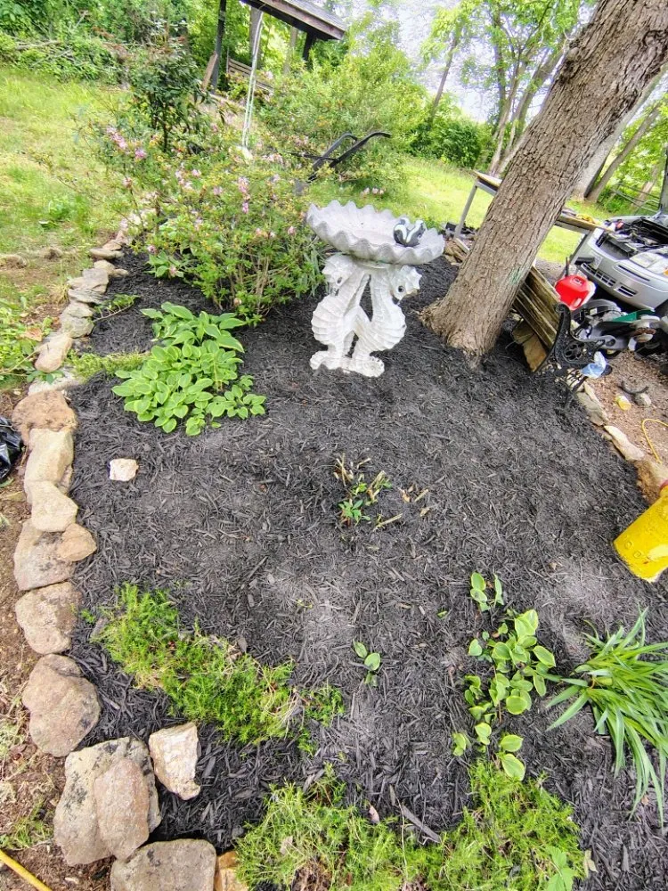 Custom lawn mowing service experts serving rixeyville, VA - Matt's Landscaping & Pressure Washing