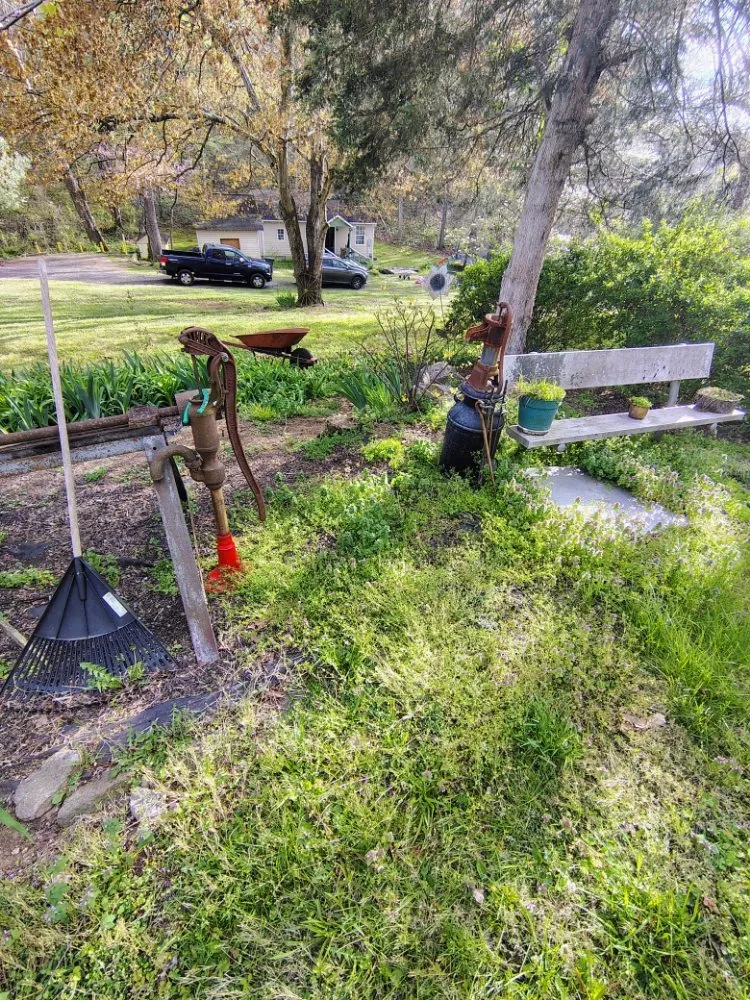 Reliable garden landscaping for beautiful yards in rixeyville, VA by Matt's Landscaping & Pressure Washing