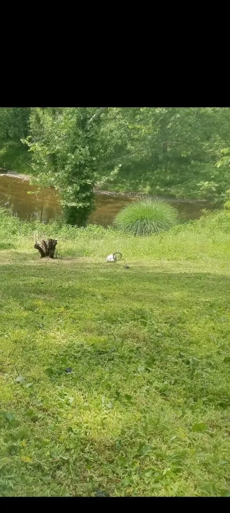Professional lawn care service for beautiful yards across rixeyville, VA - Matt's Landscaping & Pressure Washing