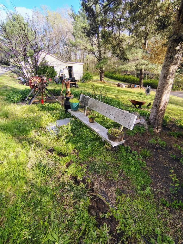 Trusted landscaping services near you across rixeyville, VA - Matt's Landscaping & Pressure Washing