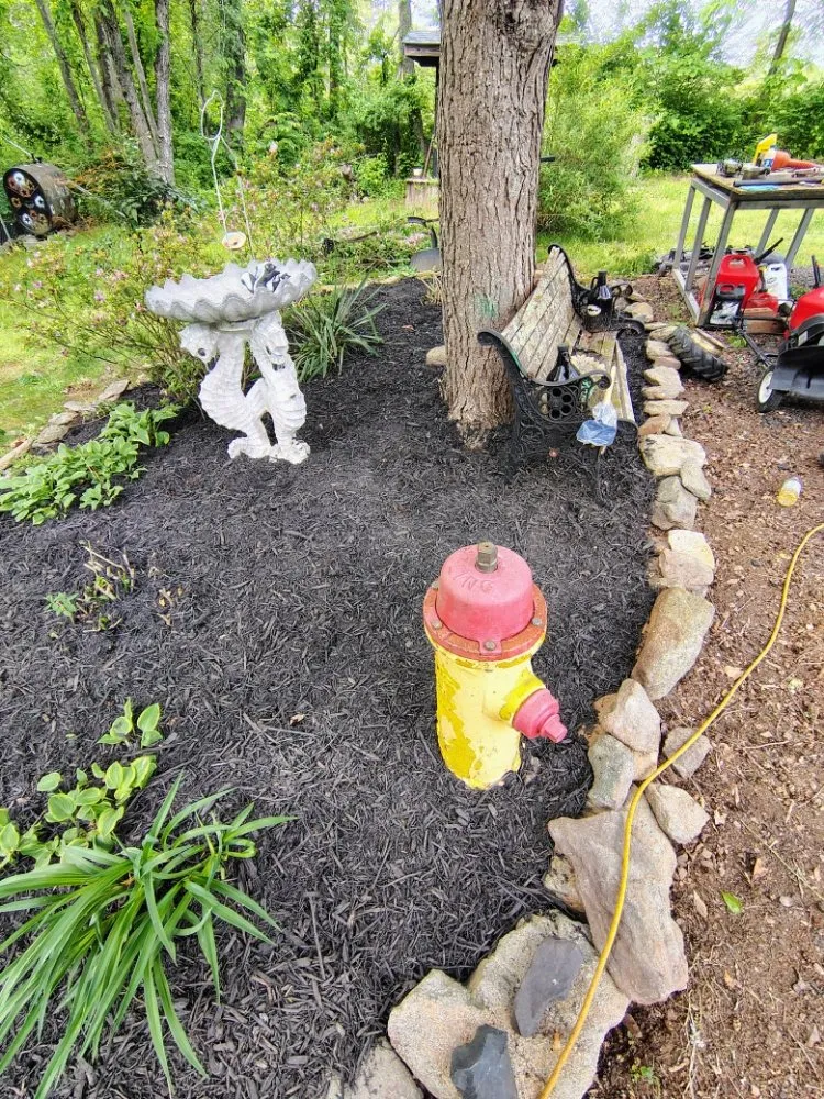 Professional lawn mowing service for homes in rixeyville, VA by Matt's Landscaping & Pressure Washing