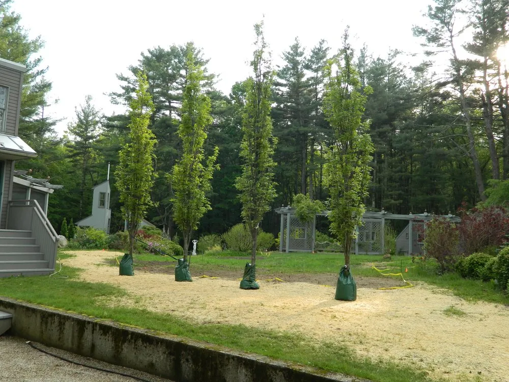 Affordable lawn mowing service in Falls Village, CT - Matt's Landscaping